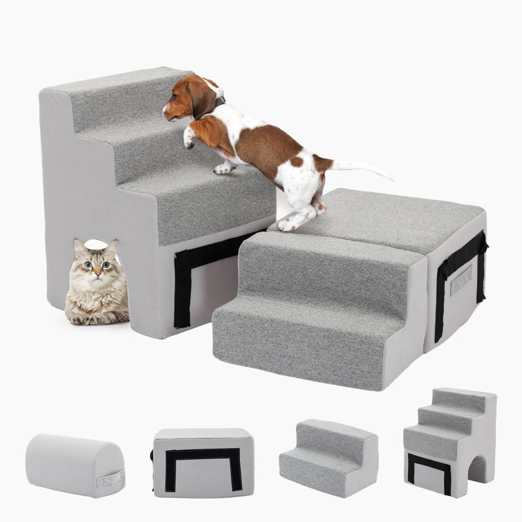 Gray shop dog stairs